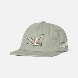 Coastal Snapback - Marine